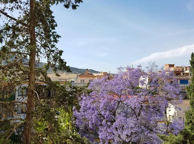 Estudiosol40 Torremolinos